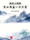 我肩上担的,不止两京一十三省!