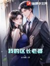 我的区长老婆
