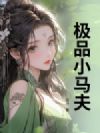 极品小马夫