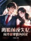 离婚前夜失忆,高冷霍律婚内沉沦