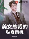 美女总裁的贴身司机
