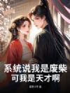 系统说我是废柴,可我是天才啊