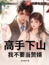 高手下山,我不要当赘婿