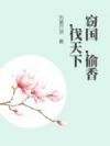 窃国,偷香,伐天下